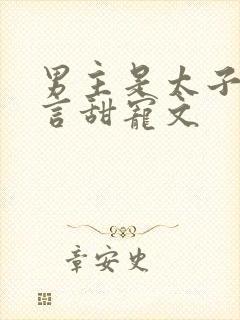 男主是太子的古言甜宠文