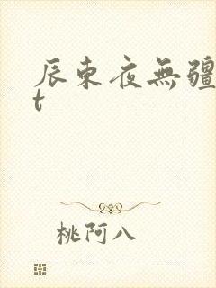 辰东夜无疆txt封面