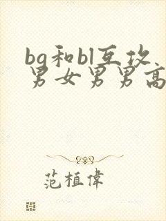 bg和bl互攻男女男男高h文