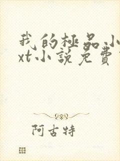 我的极品小姨txt小说免费下载