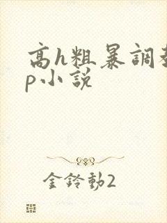 高h粗暴调教np小说