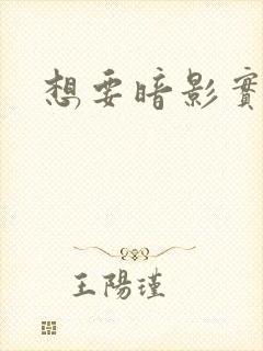 想要暗影实力者封面