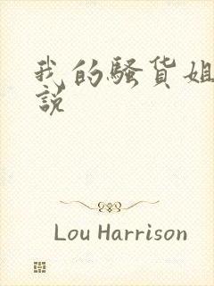 我的骚货姐姐小说封面