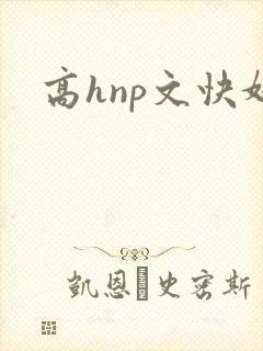 高hnp文快奸