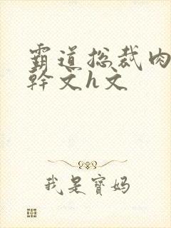 霸道总裁肉宠高干文h文