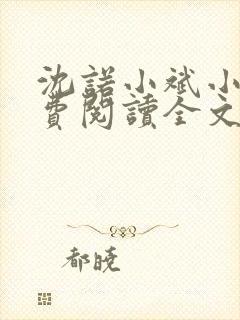 沈诺小斌小说免费阅读全文最新章节