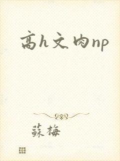高h文肉np