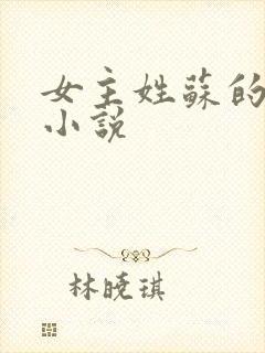 女主姓苏的古代小说封面