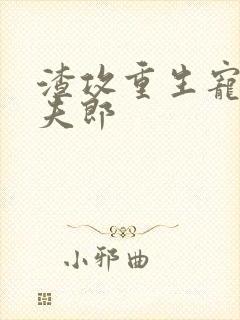 渣攻重生宠前世夫郎