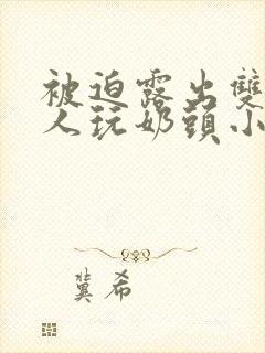 被迫露出双乳供人玩奶头小说封面