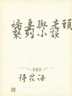 娇妻与老头的性系列小说