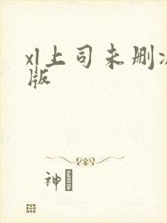 xl上司未删减版封面