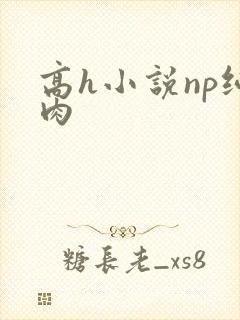 高h小说np纯肉封面