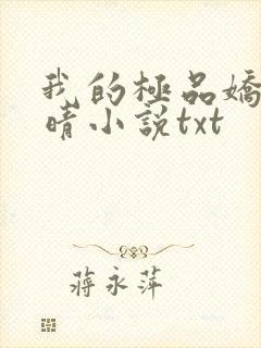 我的极品娇妻苏晴小说txt