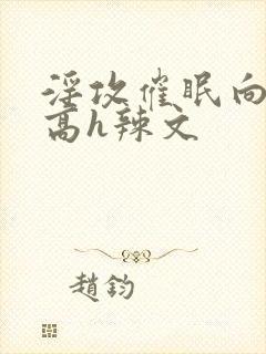 淫攻催眠向np高h辣文