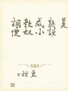 调教成熟美妇肉便奴小说