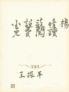 小说苏晴杨大明免费阅读封面