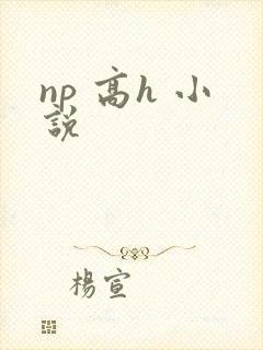 np 高h 小说