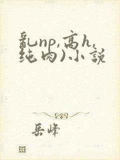 乱np,高h,纯肉)小说