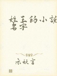 姓王的小说女主名字