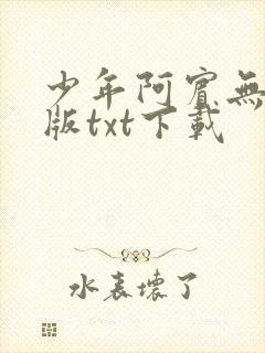 少年阿宾无删减版txt下载
