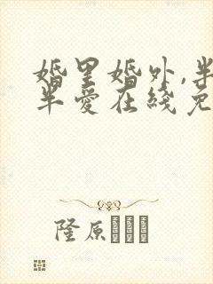 婚里婚外,半欢半爱在线免费阅读