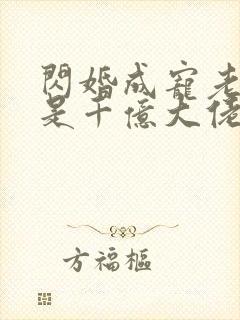 闪婚成宠老公竟是千亿大佬.