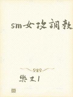 sm女攻调教文