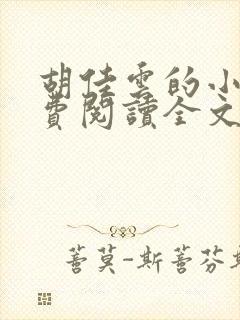 胡佳云的小说免费阅读全文无弹窗