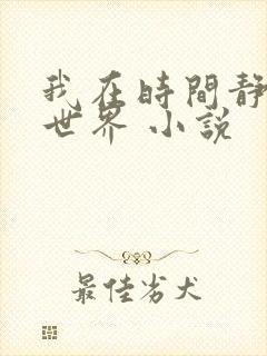 我在时间静止的世界 小说封面