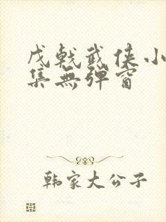 戊戟武侠小说全集无弹窗