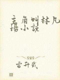 主角叫林凡的官场小说封面