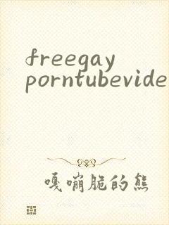 freegayporntubevideos