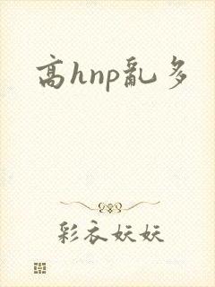 高hnp乱多封面