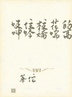 吸住校花的奶头呻吟娇喘高潮小说