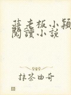 蒋老板小颖在线阅读小说