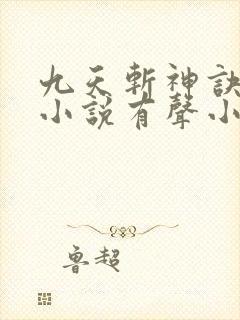 九天斩神诀林辰小说有声小说封面
