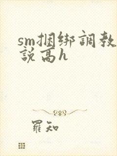 sm捆绑调教小说高h