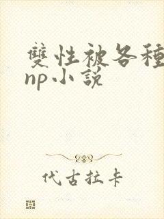 双性被各种淫玩np小说