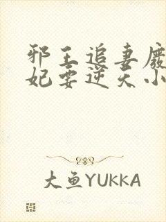 邪王追妻废材狂妃要逆天小说