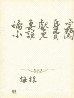 娇妻献身完整版小说免费阅读