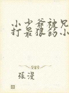 小少爷被兄长罚打最狠的小说