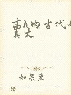 高h肉古代奶子真大