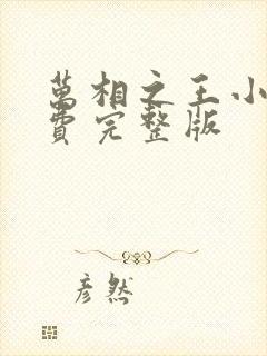 万相之王小说免费完整版