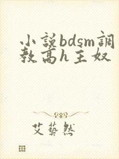 小说bdsm调教高h主奴