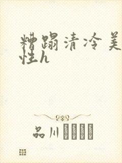 糟蹋清冷美人双性h封面