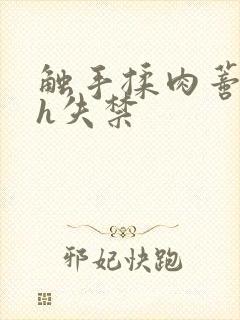 触手揉肉蒂高潮h失禁