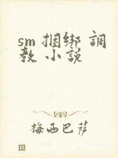 sm 捆绑 调教 小说封面