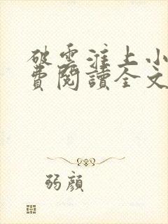 破云淮上小说免费阅读全文封面