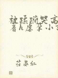 被蹂躏哭高h绑着h虐孕小说